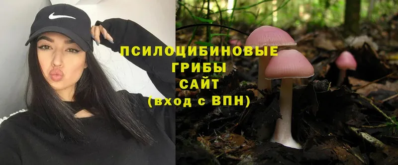 Псилоцибиновые грибы MAGIC MUSHROOMS Зеленогорск